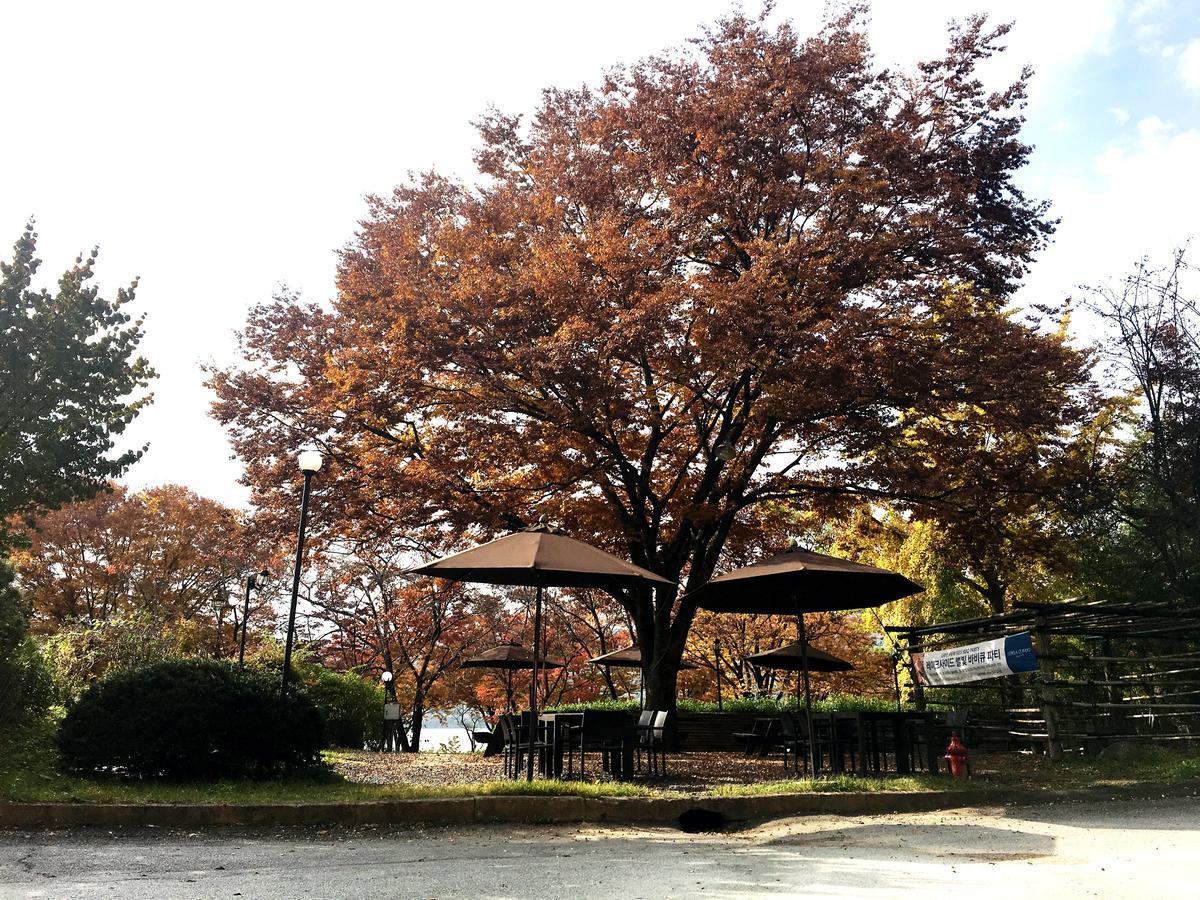 Corea Condo Gyeongju Ngoại thất bức ảnh