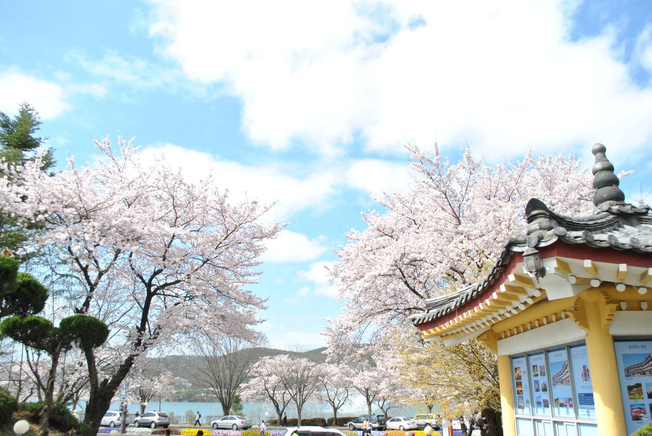 Corea Condo Gyeongju Ngoại thất bức ảnh