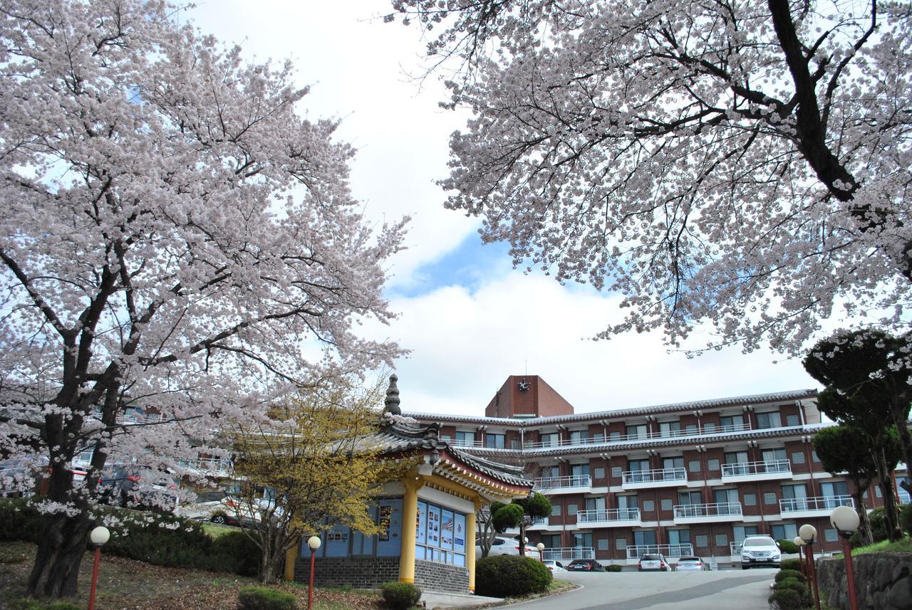 Corea Condo Gyeongju Ngoại thất bức ảnh