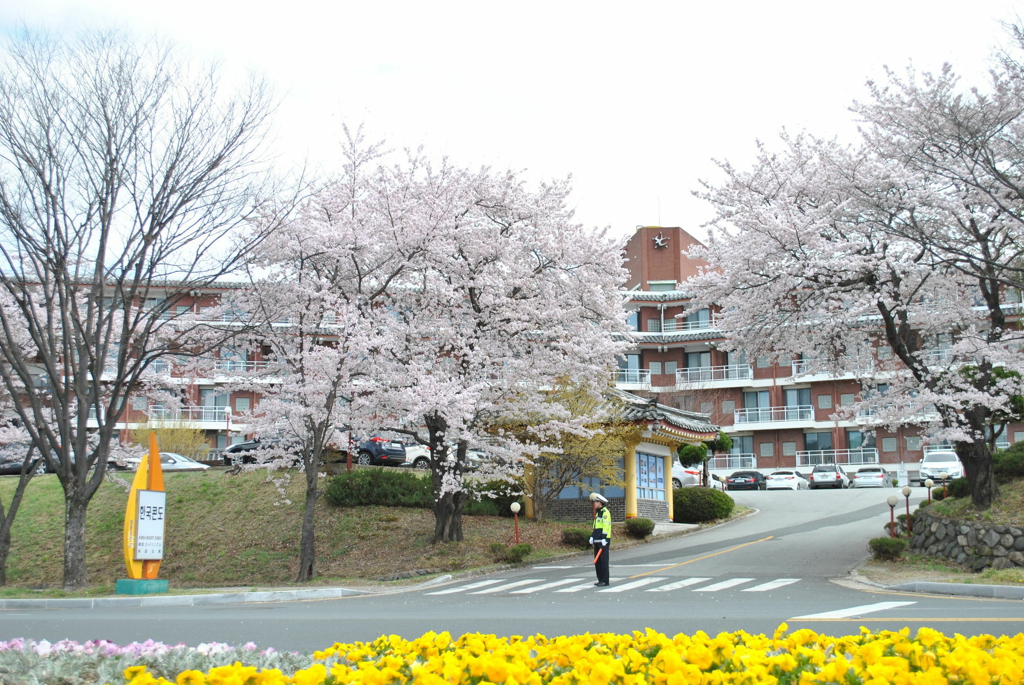 Corea Condo Gyeongju Ngoại thất bức ảnh