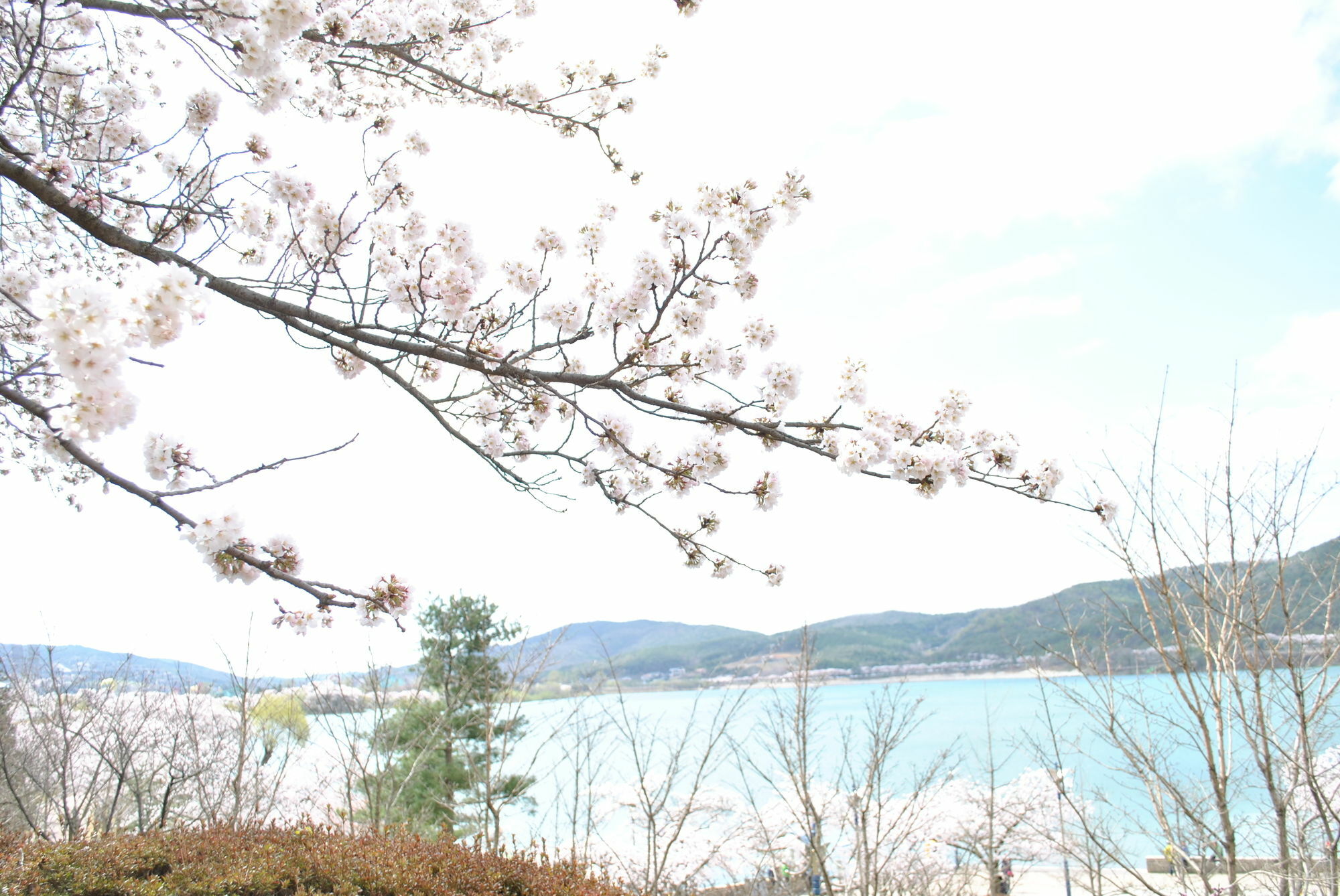 Corea Condo Gyeongju Ngoại thất bức ảnh