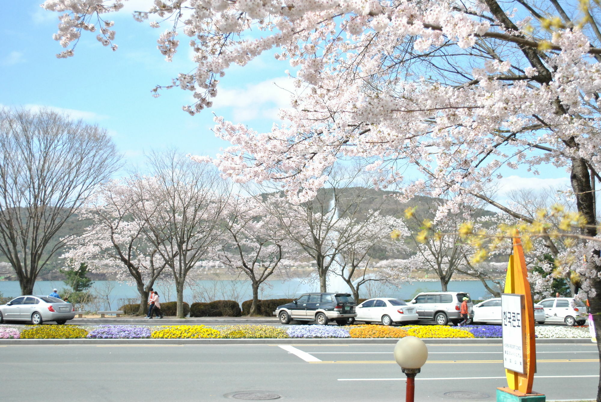 Corea Condo Gyeongju Ngoại thất bức ảnh
